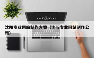 博尔塔拉蒙古沈阳专业网站制作方案（沈阳专业网站制作公司）